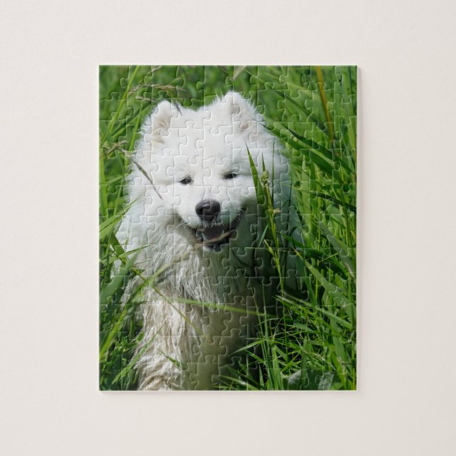 Samoyedo en rompecabezas de la hierba (Vertical)