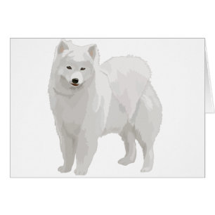 Samoyedo hermoso