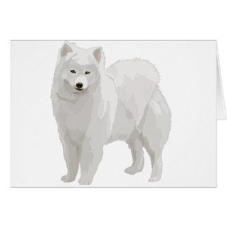 Samoyedo hermoso