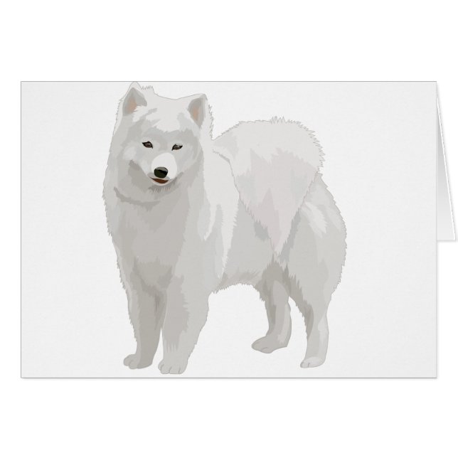 Samoyedo hermoso (Anverso (Horizontal))