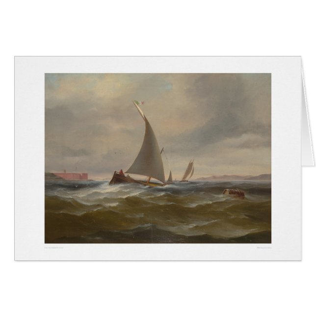 San Francisco Bay Felluca (1314) (Anverso (Horizontal))