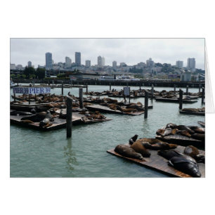 San Francisco y leones marinos de Pier 39 Panorama