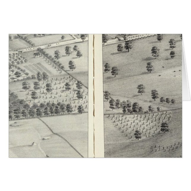 San Luis, Misuri 24 (Anverso (Horizontal))