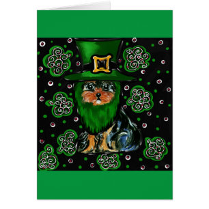 San Patricio Yorkie Poo