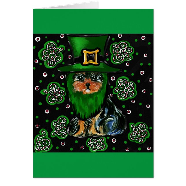 San Patricio Yorkie Poo (Frente)