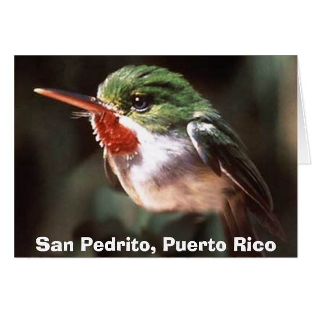 San Pedrito, San Pedrito, Puerto Rico (Anverso (Horizontal))