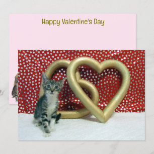 San Valentín de Tabitha - Gato / San Valentín de g