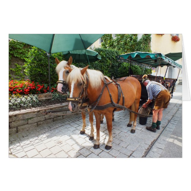 San Wolfgang en Austria (Anverso (Horizontal))