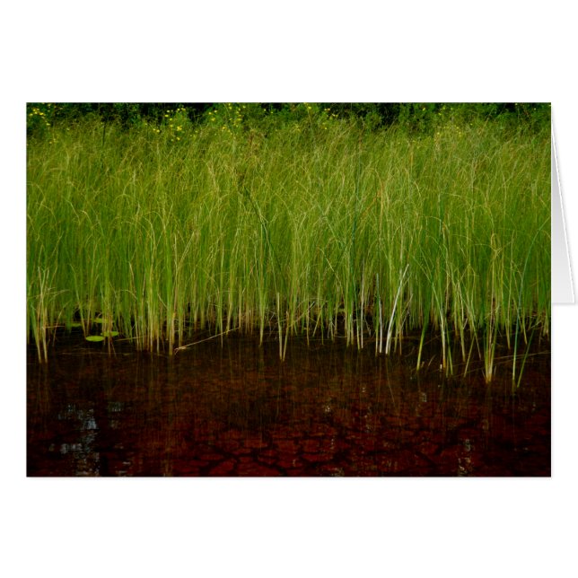 Sancturary (Anverso (Horizontal))