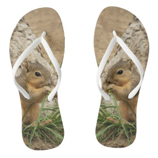 Sandalias De Flip Flop De La Ardilla Cuta