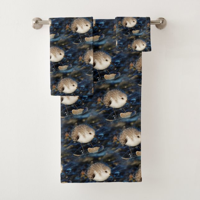 Sanderling Dines on Clam at Beach (In situ)