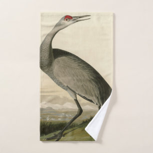 Sandhill Crane de los pájaros de América de Audubo