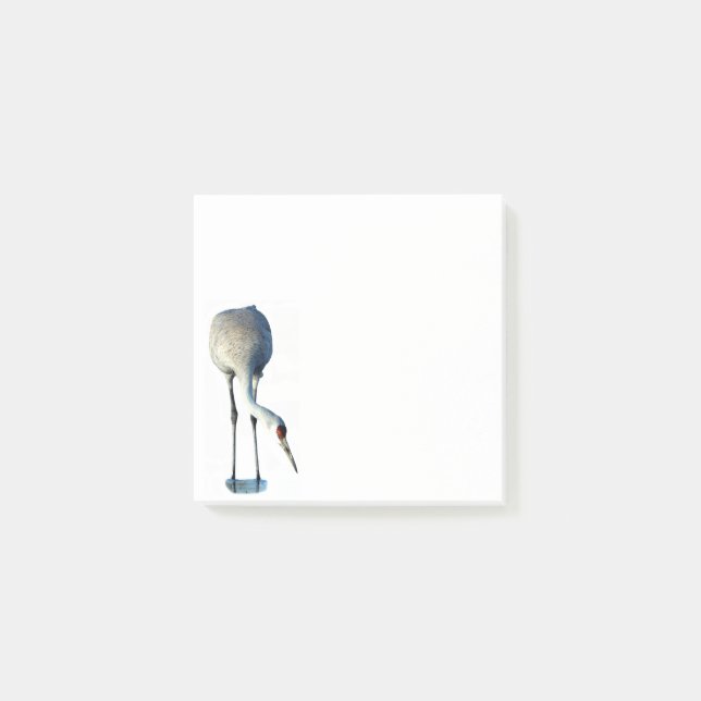 Sandhill Crane Photo Stationery 3x3 Notas posterio (Anverso)