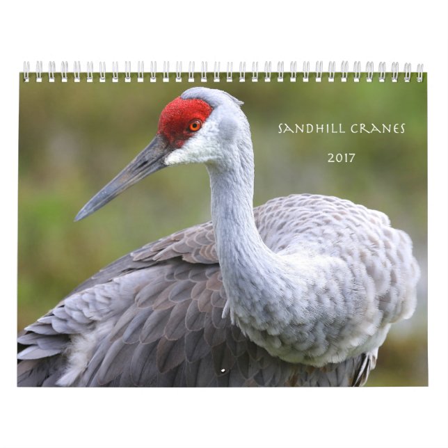 Sandhill Cranes el calendario 2017 (Tapa)
