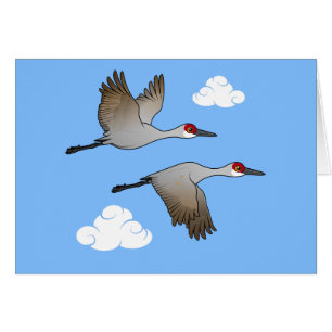 Sandhill Cranes en vuelo