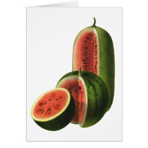 Sandías Vintage Altas Redondas, Fruta Orgánica Com