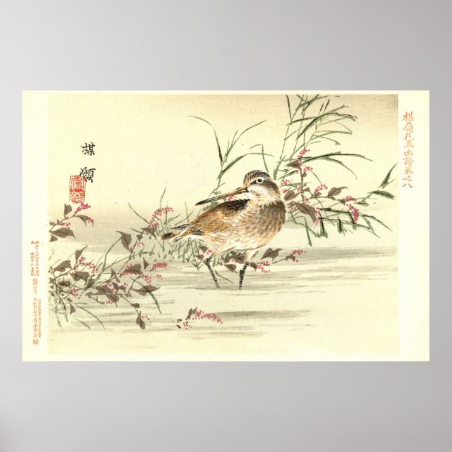 Sandpiper En Agua Vintage Arte Oriental Japonés (Frente)