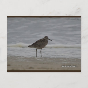 Sandpiper V   Postal Blue Beach Song™