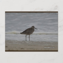 Sandpiper V | Postal Blue Beach Song™