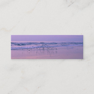 Sandpipers en la playa con tarjetas de contacto Su