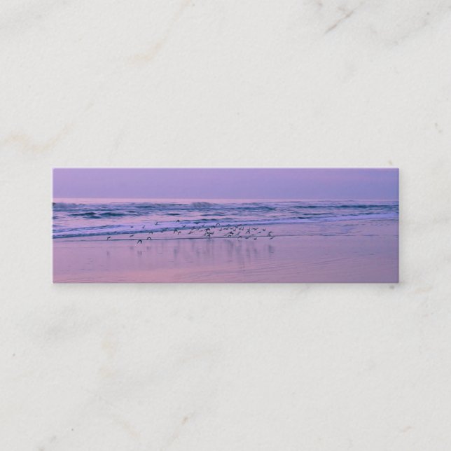 Sandpipers en la playa con tarjetas de contacto Su (Anverso)