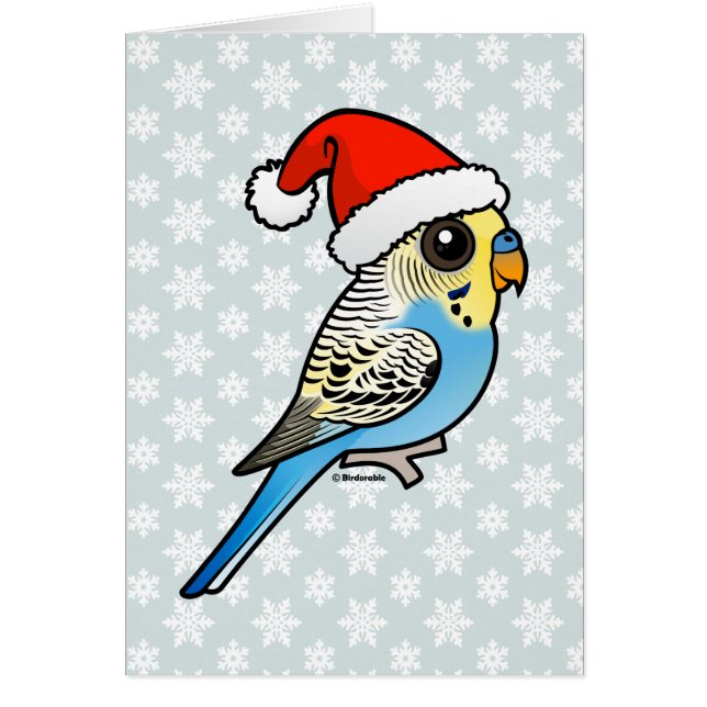 Santa azul y amarillo Budgie (Frente)