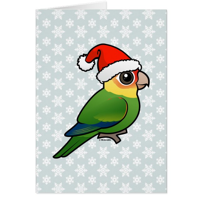 Santa Carolina Parakeet (Frente)