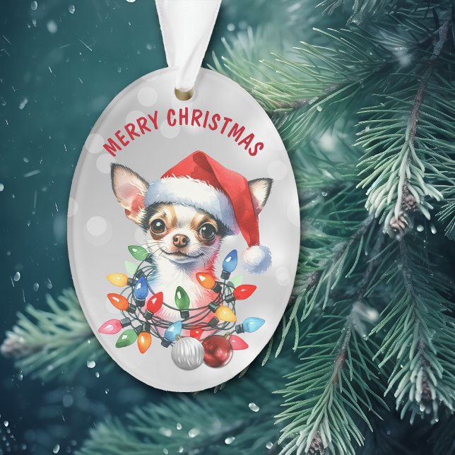 Santa Chihuahua traviesa en decoraciones (Subido por el creador)