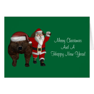 Santa Claus ama a los osos