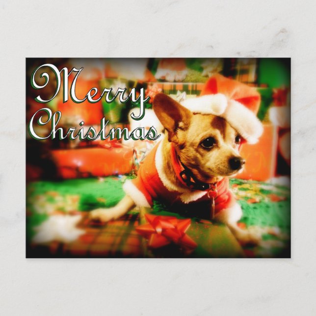 Santa Clause Chihuahua Feliz Navidad (Anverso)
