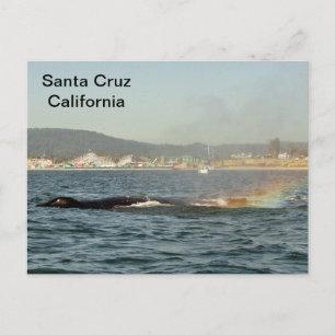 Santa Cruz, CA. Postales arcoiris de ballena jorob