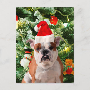 Santa Hat Bulldog Árbol de Navidad Snowman Gift Bo