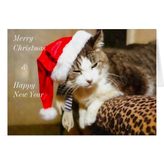 Santa Kitty Painterly (Anverso (Horizontal))