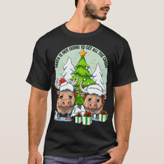 Santa no va a recibir la camiseta de crédito