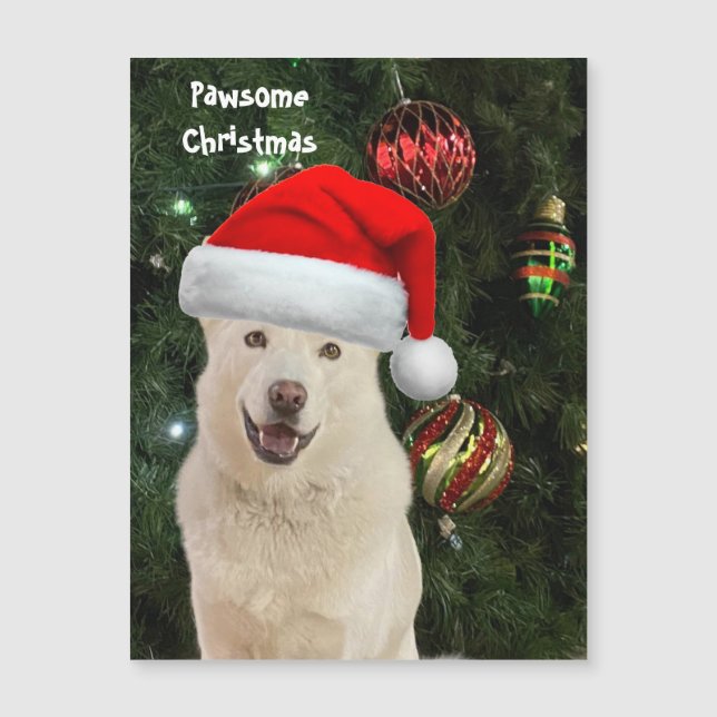 Santa Paws - Crystal the Husky Dog Navidades (Anverso)