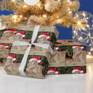 Santa Paws - Estilo Weimaraner - Papel envuelto