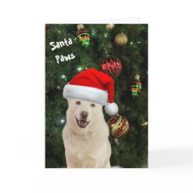 Santa Paws - La feliz tarjeta de saludo Husky