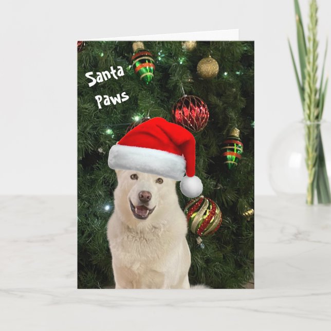 Santa Paws - La feliz tarjeta de saludo Husky (Anverso)