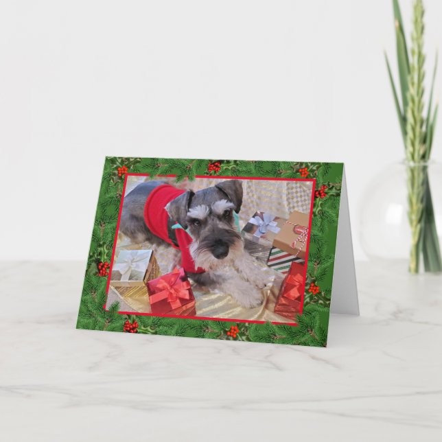 Santa Schnauzer con tarjeta de Navidades Holly (Anverso)