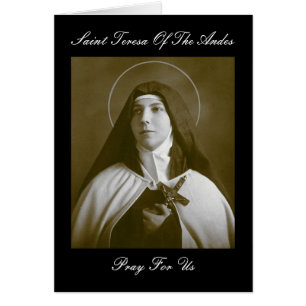 SANTA TERESA DE LOS ANDES