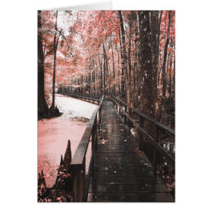 santant swamp dreamscape