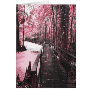 santant swamp dreamscape