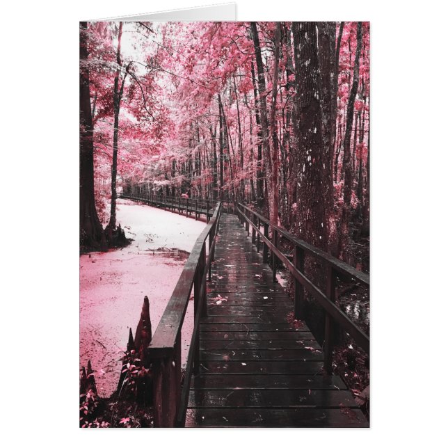 santant swamp dreamscape (Frente)
