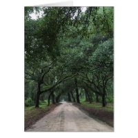 santee road