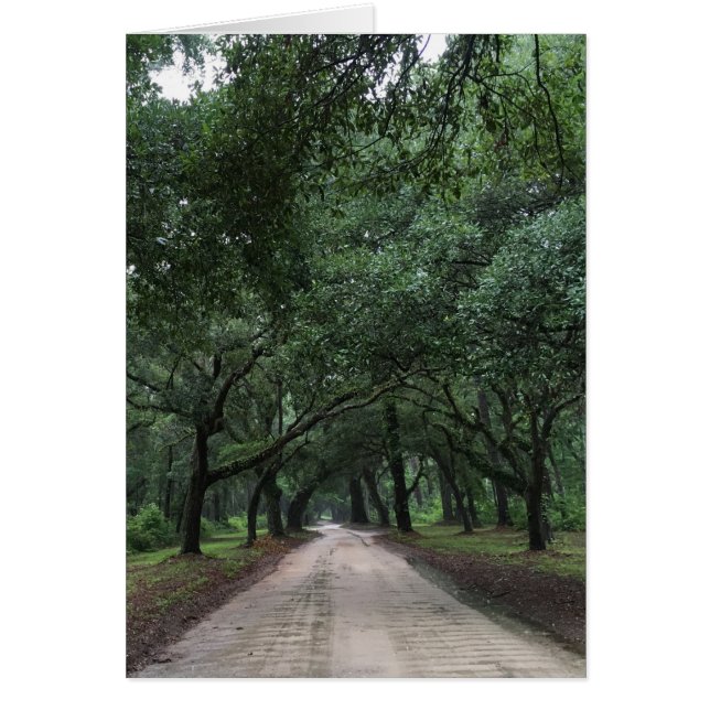 santee road (Frente)