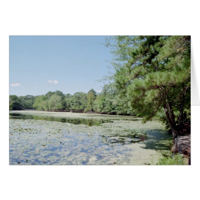 Santuario (Anverso (Horizontal))