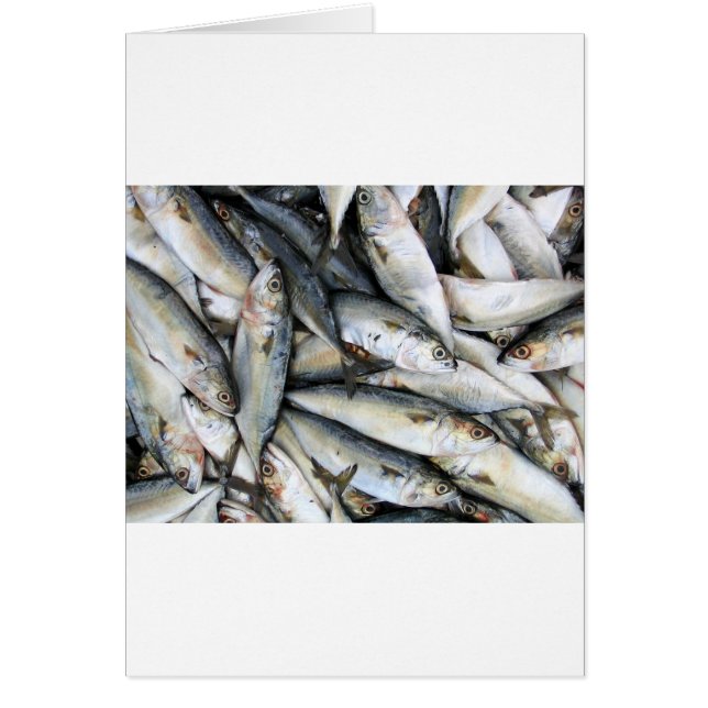 Sardinas (Frente)