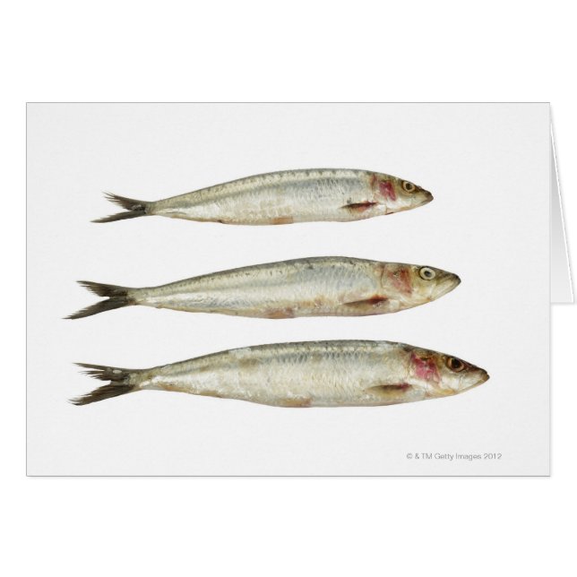 Sardinas (Pilares) 2 (Anverso (Horizontal))