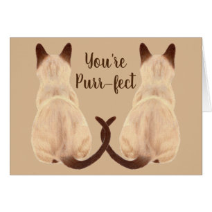 Sasha Siamese Cat Lover Back View You are Purrfect