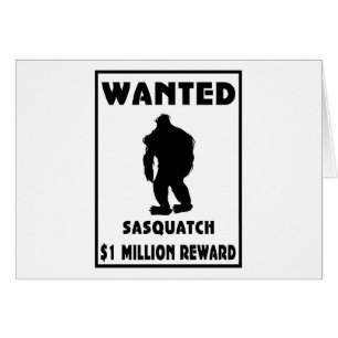 Sasquatch quiso el poster
